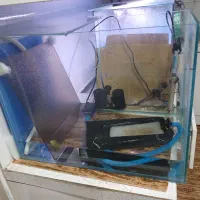 اکواریوم|ماهی|اهواز, کمپلو شمالی|دیوار