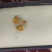 دو جفت گوشواره