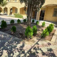 هرس و کوددهی باغ و باغچه