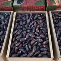 خرمای ربی|خوردنی و آشامیدنی|سراوان, |دیوار