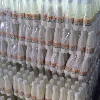 فروش انواع ماست و دوغ تکنفره ( عمده )|خوردنی و آشامیدنی|اهواز, کمپلو شمالی|دیوار