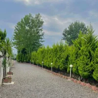 نیم پیلوت /۲۲۰/متری زیرقیمت به علت مهاجرت سنددار|فروش خانه و ویلا|محمودآباد, |دیوار