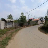 274متر زمین مسکونی روستای کفترود|فروش زمین و ملک کلنگی|رشت, گلسار|دیوار