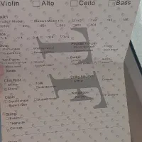 ویولن سالم و کمکار TF142|ویولن|فردیس, فردیس|دیوار