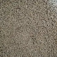 دان پارس پلت کبوتر