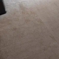 پالاز موکت