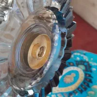 سرویس پزیرایی شامپایینی سالم داخل کارتون