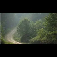 طالب طرحی ارزنده