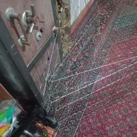 یک عدد پارک نگهداری سگ پاکوتاه