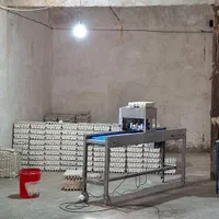 فروش مرغداری واحد تخمگذار|فروش دفتر صنعتی، کشاورزی، تجاری|کاشان, شهرک صنعتی راوند|دیوار