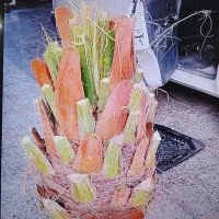 قطع نخل با اره برقی