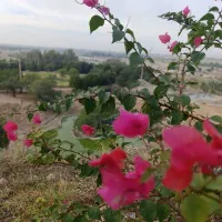 فروش زمین ۲۰۰ متری دو نبش زیباشهر «آوان شهر»