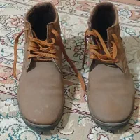 کفش|کیف، کفش، کمربند|کوهدشت, |دیوار