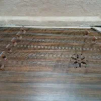 مدرس موسیقی توسط خانم