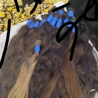 موی طبیعی بالاترین نرخ روز