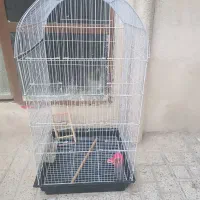 قفس پرنده