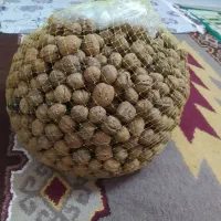 فروش گردوی بومی سامان