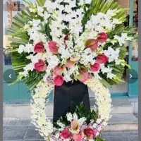 تاجگل طبیعی|گل و گیاه طبیعی|یزد, |دیوار