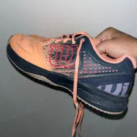 کفش تنیس|کیف، کفش، کمربند|تهران, هروی|دیوار