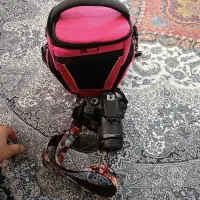 دوربین عکاسی|دوربین عکاسی و فیلم‌برداری|شیراز, منطقه هوایی شهید دوران|دیوار