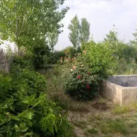 زمین ۲۰۰ متر ازداتپه