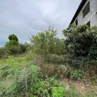 زمین در رامسر