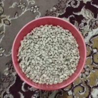 لوبیاچتی.ابلق