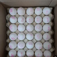 پخش تخم مرغ لوکس. ۱۲،۷وزن. ارسال رایگان