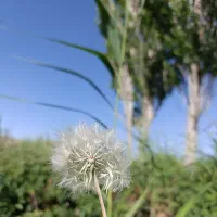 مشاوره پوست