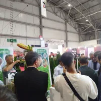 همایش دانش بنیان بازار گل همدانیان