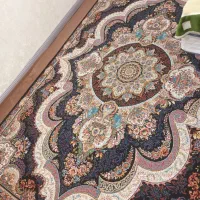 دوعدد ۶متری در حد نونو
