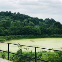 اجاره سوئیت جنگلی|اجارهٔ کوتاه‌مدت آپارتمان و سوئیت|لاهیجان, آهندان|دیوار