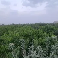 فروش باغ زیبا در پیربکران|فروش خانه و ویلا|اصفهان, شاهزاده ابراهیم|دیوار