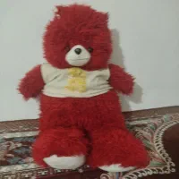 خرس قرمز