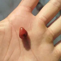 تک مهره