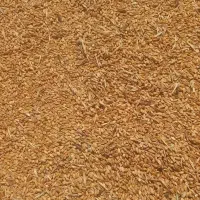 گندم تمیز ۲ تن