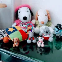 عروسک‌های پولیشی برندخارجی نونو(فقط توویترین بوده)