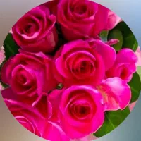 نیرو خدماتی برای مطب