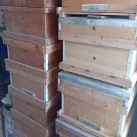 تعدادی وسایل زنبور داری