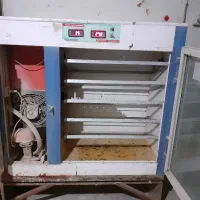 دستگاه جوجه کشی|لوازم جانبی حیوانات|تربت‌حیدریه, ۴۵ متری|دیوار