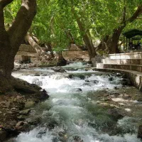 فروش یک قطعه زمین در کمالوند نهاوند