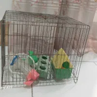 قفس پرنده