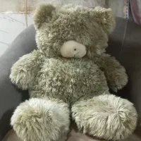 تعدادی عروسک و مانتو