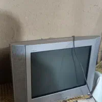 تلویزیون