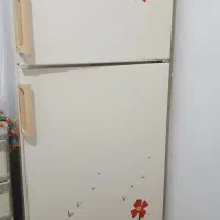 یخچال فریزر فیلور بدون پوسیدگی
