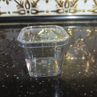 ظروف یکبار مصرف