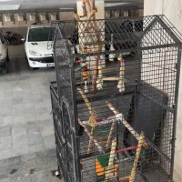 قفس بزرگ|لوازم جانبی حیوانات|تهران, دولتآباد|دیوار