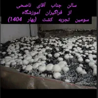 دوره پرورش قارچهای خوراکی با پشتیبانی فراگیر|خدمات آموزشی|نجف‌آباد, کشاورز|دیوار