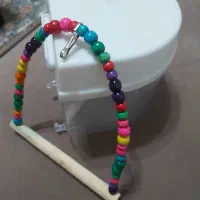 تاب و ظرف حمام پرنده|لوازم جانبی حیوانات|بندر انزلی, عباس آباد|دیوار