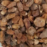 غذای دام کنگه